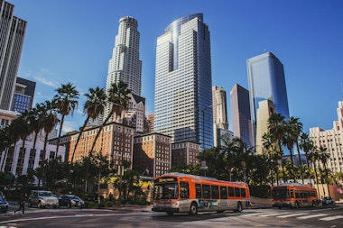 Voyage sportif à Los Angeles