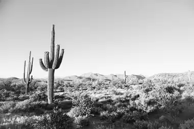 Voyage sportif à Phoenix