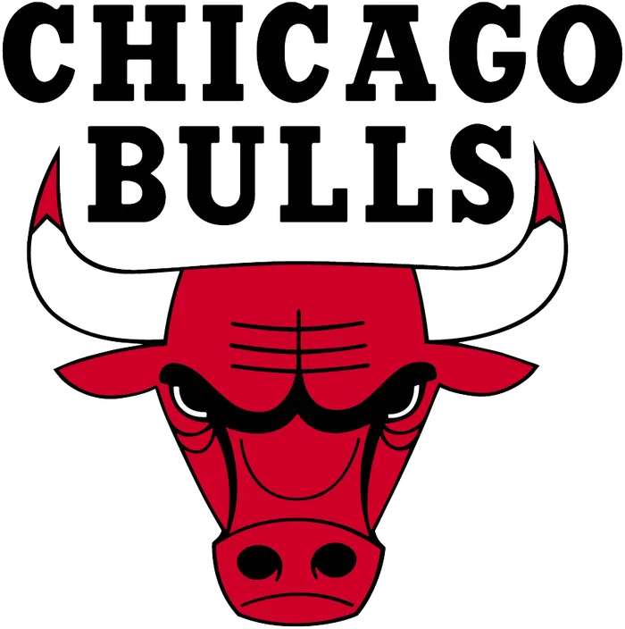 Bulls de Chicago